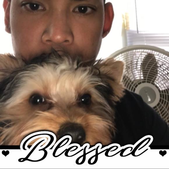 Meet your Posher, Paul - Picture 2 of 2